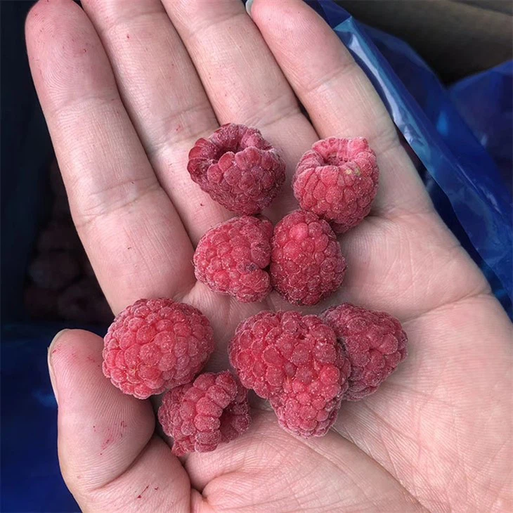 IQF Frozen Raspberry
