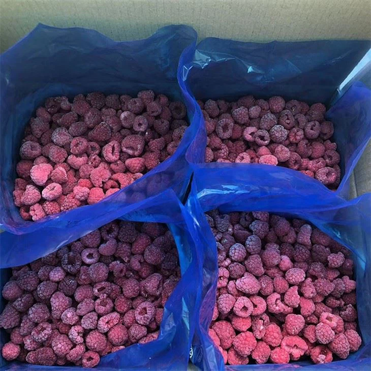 IQF Raspberries