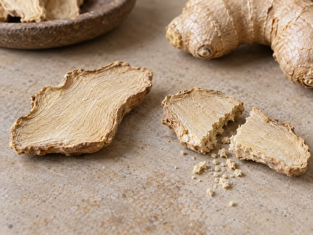 Dry ginger slice snapped to expose firm interior